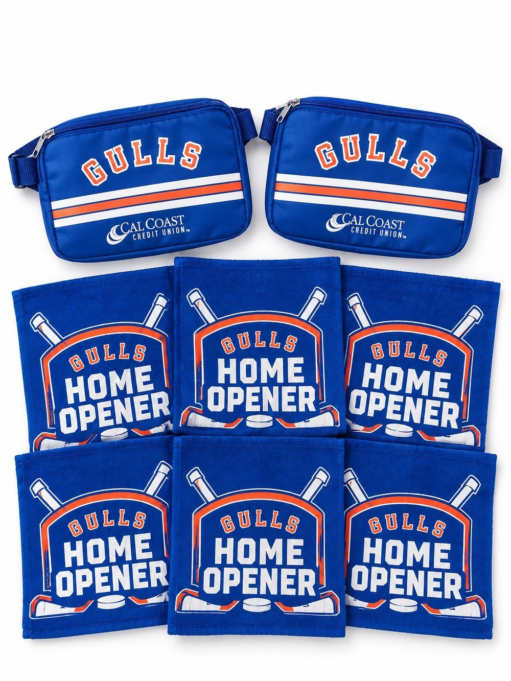 San Diego Gulls 2024 Home Opener Hockey Memorabilia 8-Piece Giveaway Bundle
